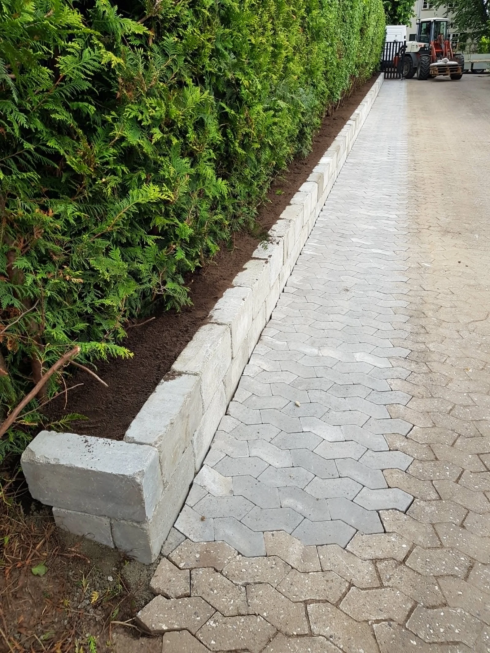 Detalje af kanten langs hækken